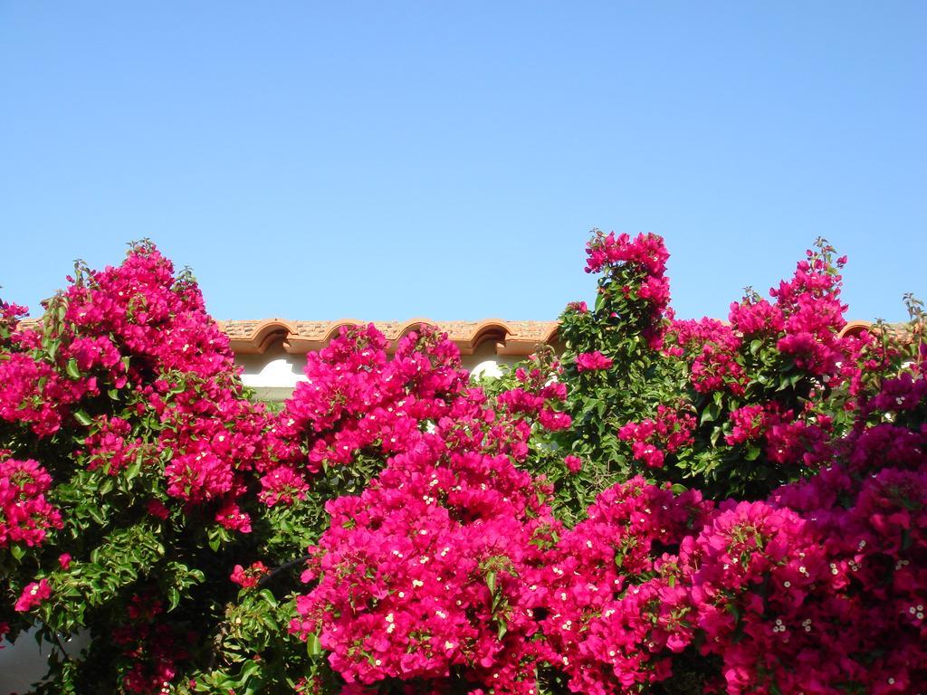 Monte Dos Arneiros Hotel Lavre Kültér fotó